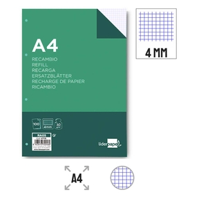 Liderpapel Papier Nachfüllpackung 60 g Papier 4 mm kariert (4-Loch gestanzt)